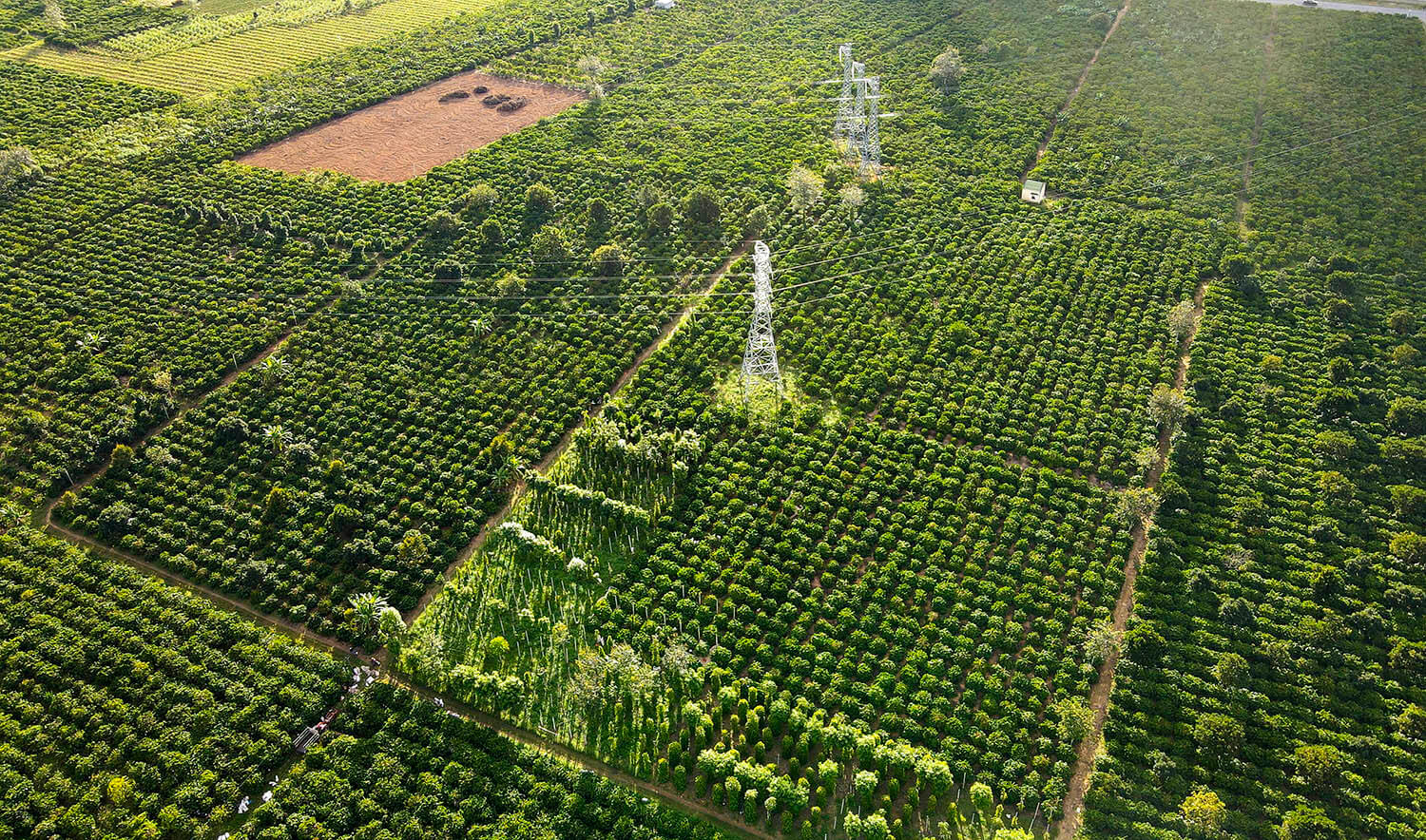 Tăng hệ vi sinh vật có lợi
