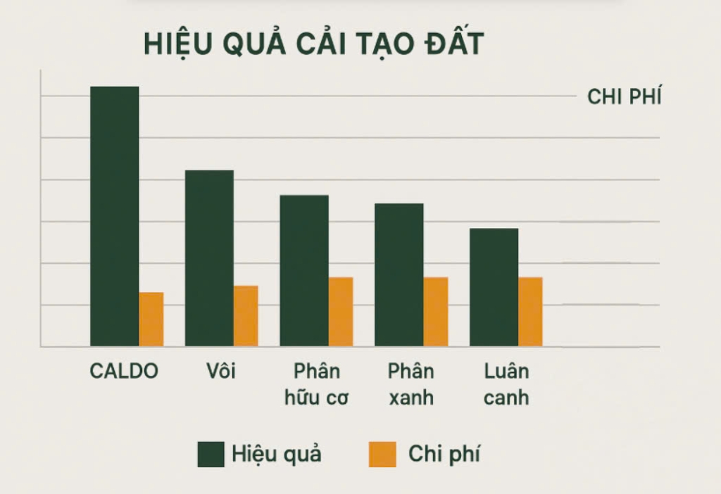 chi phí và hiệu quả của Caldo