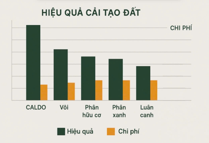 chi phí và hiệu quả của Caldo