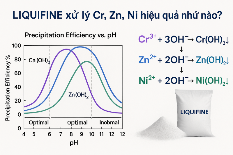 LIQUIFINE xử lý Cr